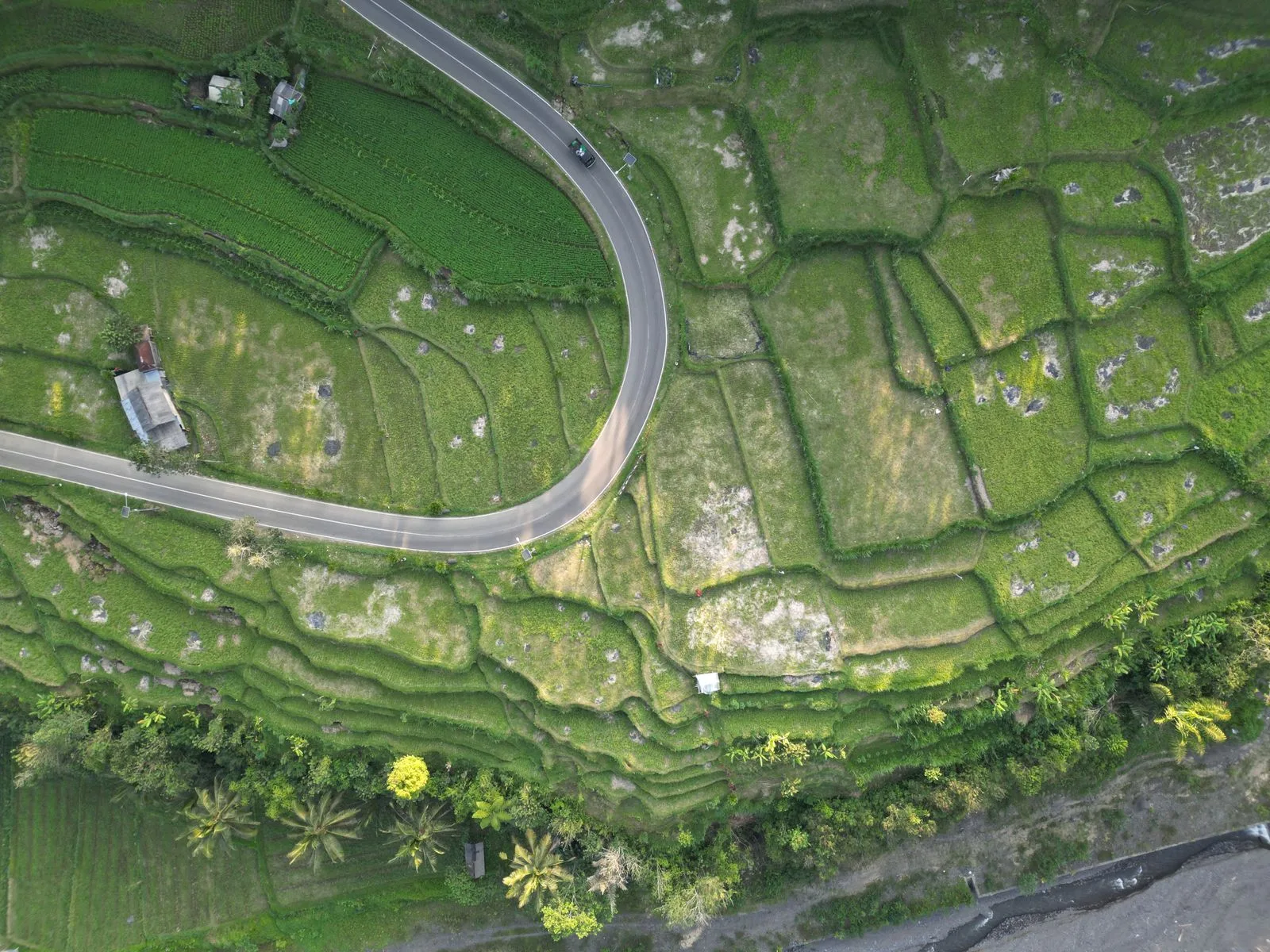 Scenic road through Bali's rice terraces