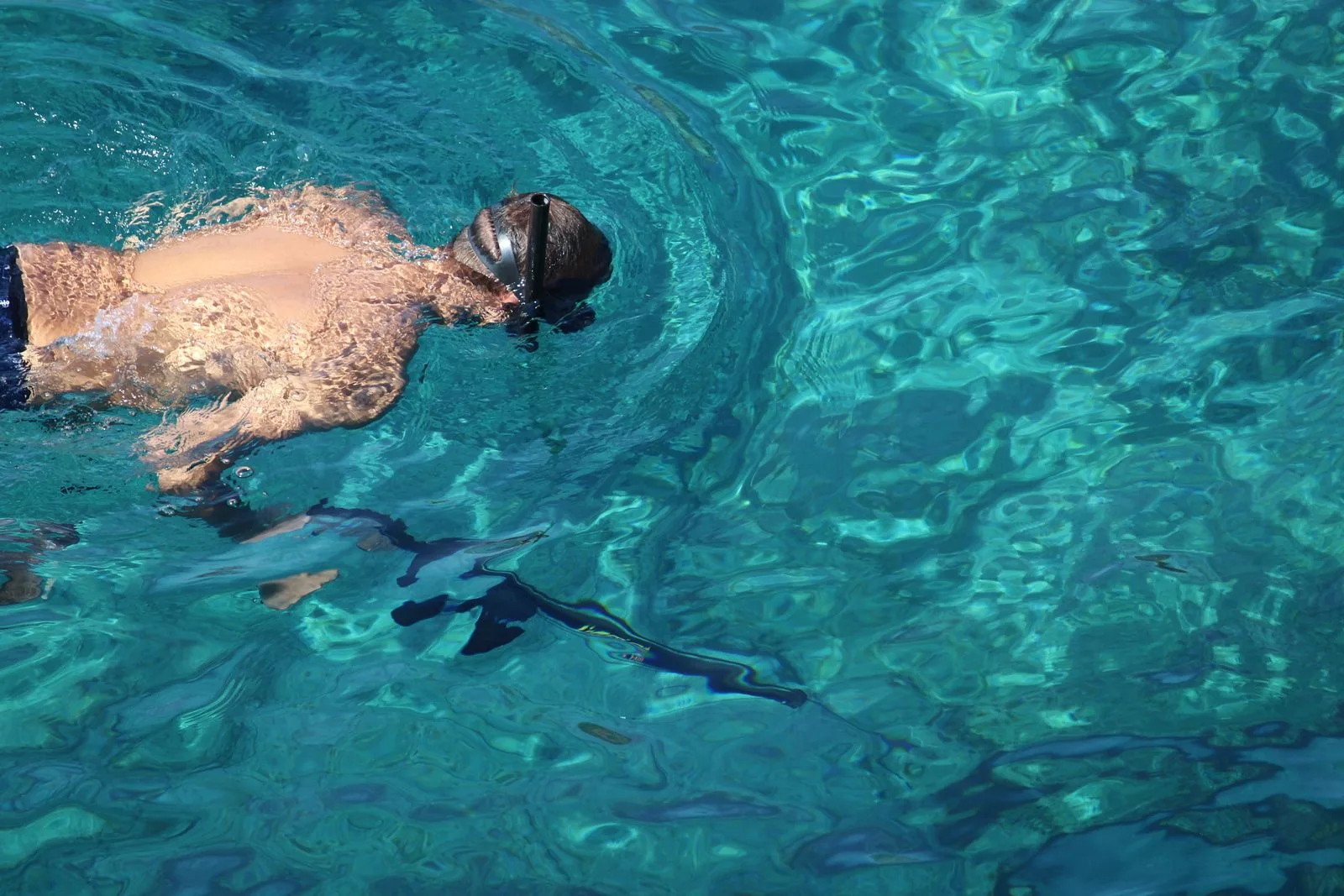 Blue Lagoon snorkeling tour — cover photo